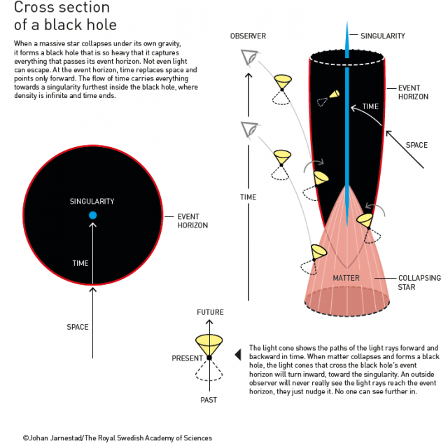 Theory of Black Holes